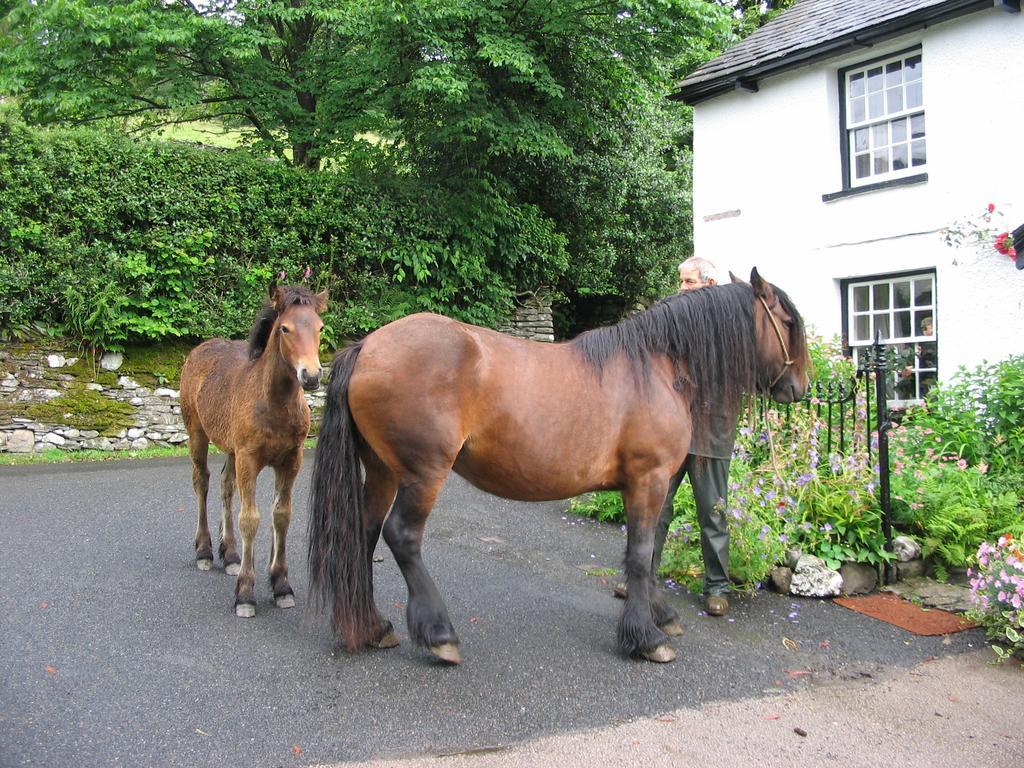 High Fold Guest House Troutbeck  Bagian luar foto