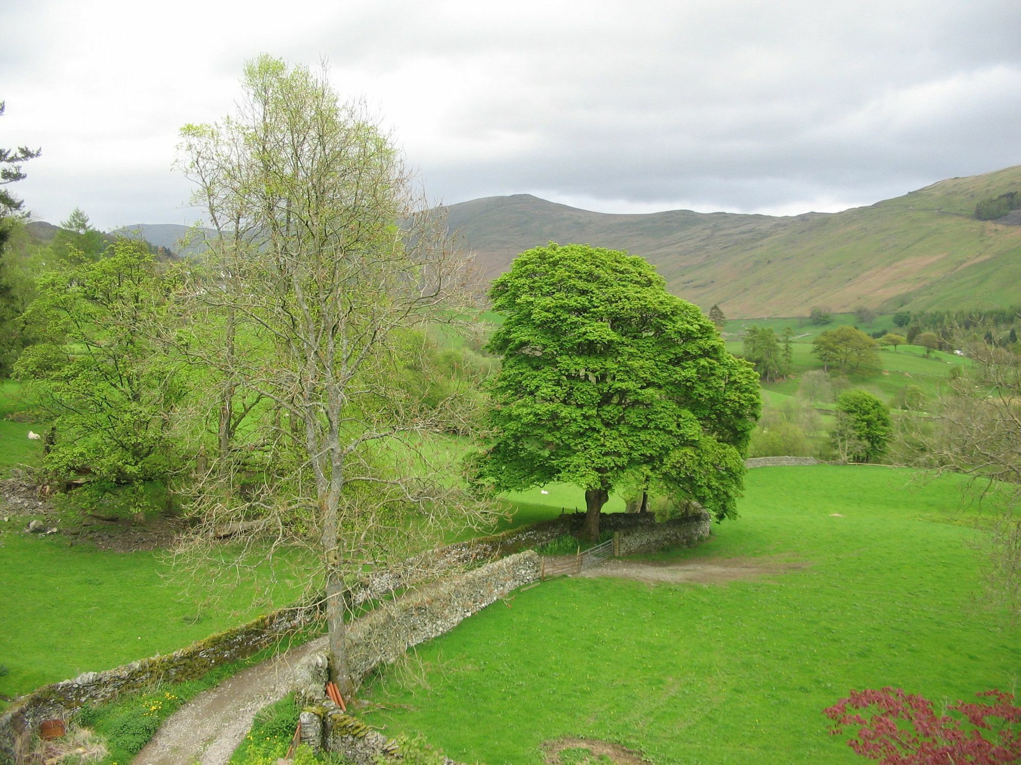 High Fold Guest House Troutbeck  Bagian luar foto