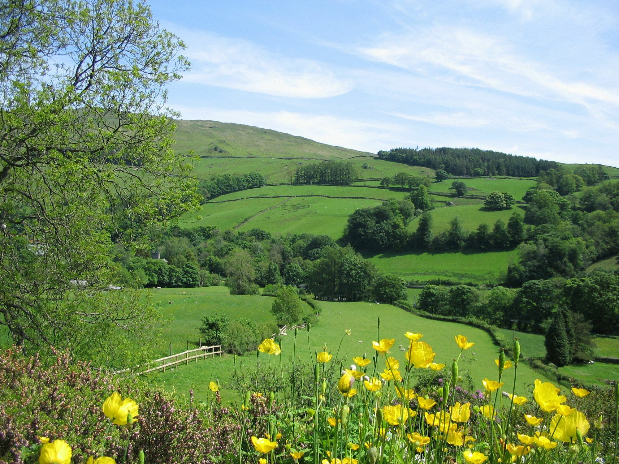 High Fold Guest House Troutbeck  Bagian luar foto