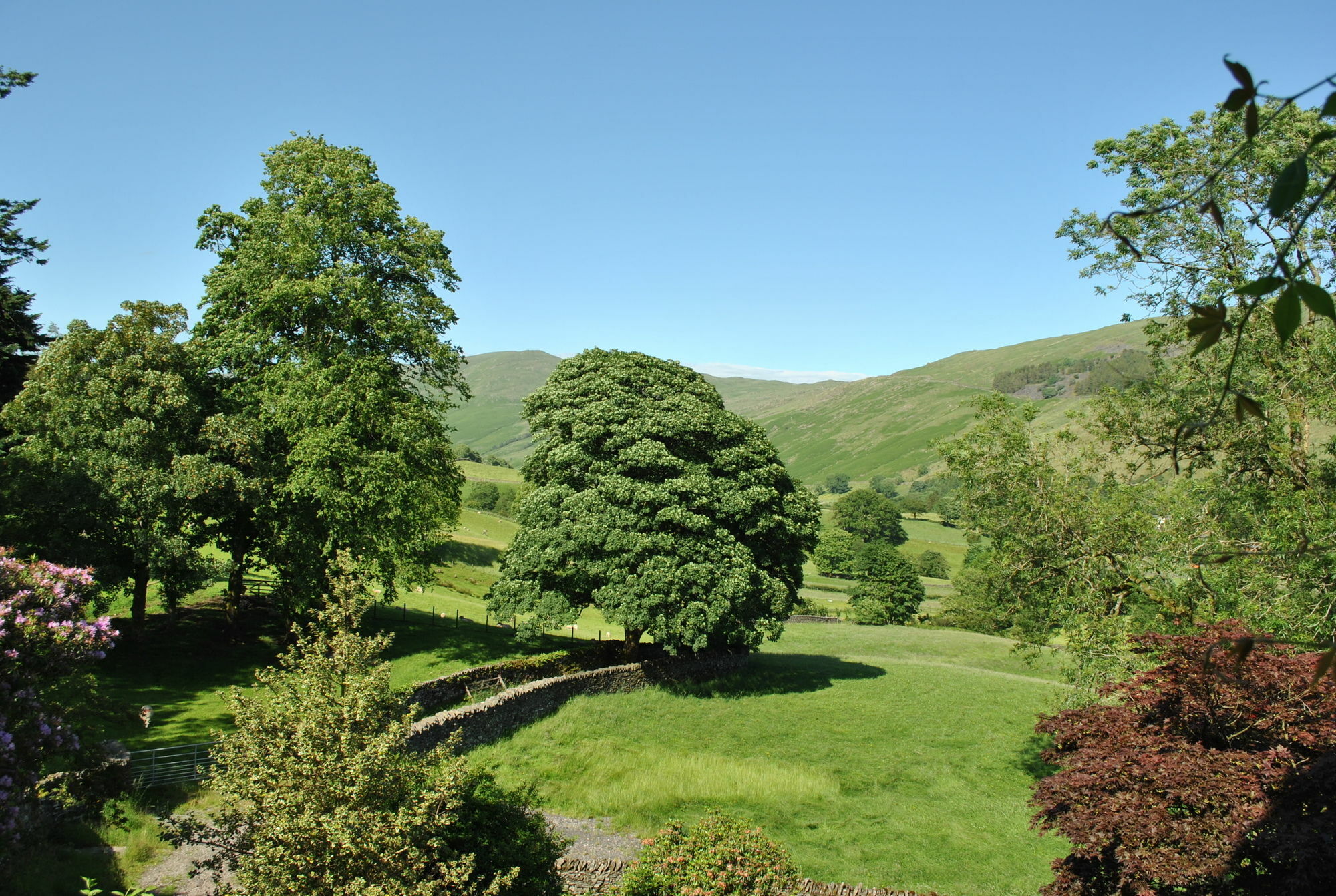 High Fold Guest House Troutbeck  Bagian luar foto